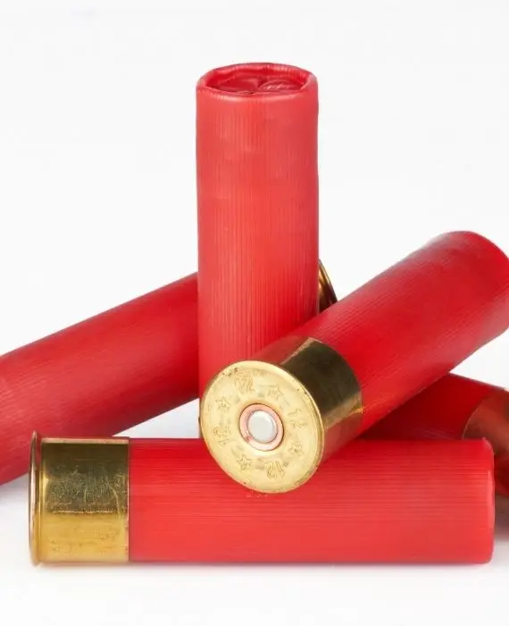 fbft florida firearms training (5)